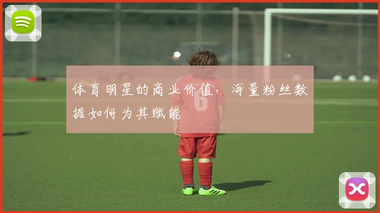 体育明星的商业价值，海量粉丝数据如何为其赋能