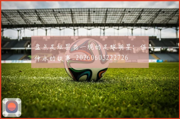 盘点足坛昙花一现的足球明星：伤仲永的故事_20260603222726