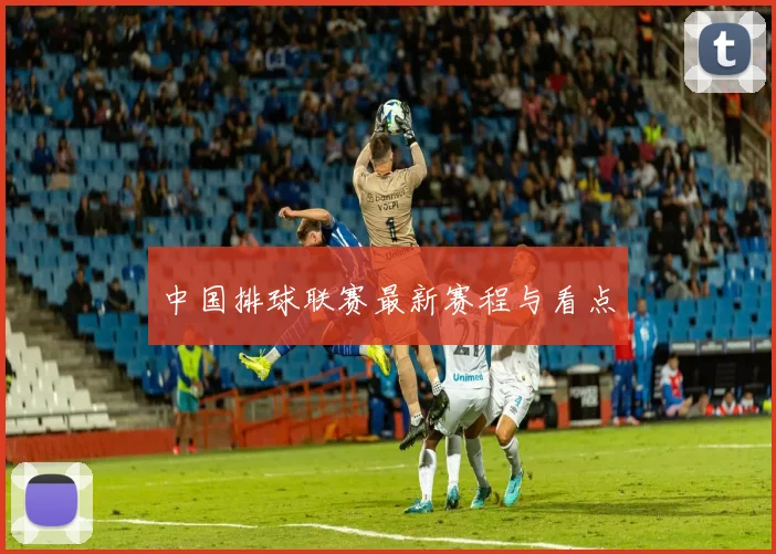 中国排球联赛最新赛程与看点