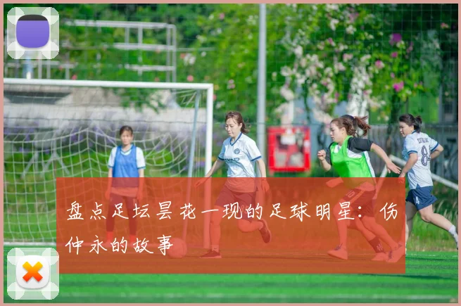 盘点足坛昙花一现的足球明星：伤仲永的故事