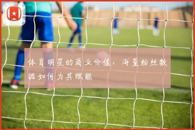 体育明星的商业价值，海量粉丝数据如何为其赋能
